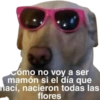 Cómo no voy a ser
mamón si el día que
mací, nacieron todas las
flores