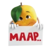 MAAP.