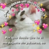 شلال e prestas un diccionario? @molly posting Por qué desde que te vi me dejaste sin palabras, bb