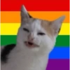 ORGULLO LGBT 19