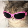 Memes/reações 14