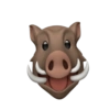 Emoji iphone random 19