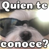 Peyitos Bonitos❤️🐕 25