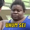 UHUM SEI