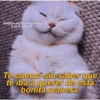 Gatitos Anti-depresivos Vol.1 13