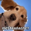 Animalitos pt.2🐾 6