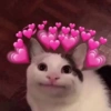 Explosión de Amor 4 23