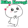 Biha Karogi