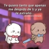 Te quiero tanto que apenas me despido de tí y ya te extraño... @Cats4mood en Instagram