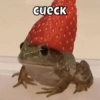 Cueck