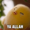 YA ALLAH