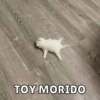 TOY MORIDO