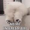 NO ME INTERESA, BAI