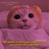 Gatitos que mejoran
tu mood
Instal@guf_gufy
Me debes un beso por cada minuto
que tardes en responder
