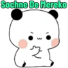 Sochne De Mereko