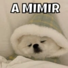 Animalitos pt.2🐾 11