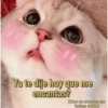 Ol@fraces de gatitoos
Ya te dije hoy que me
encantas?
(Nooo no encantas me
facinas chikitx)