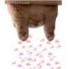 STICKERSMN