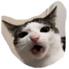 Monkeycatluna 7