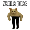 venite pues
