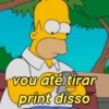 www
vou até tirar
print disso