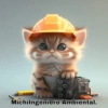 MichiIngeniero Ambiental.