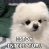 ESTOY INTELECTUAL