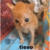 076
LOVE
ALOVELO
COTAST VED
YELLO
3A0
AO
11:11
algirisbo00
tieso
