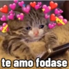 Memes 5 6