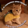 comemos unos tacos?
y si
pocutian
y te a-taco a besos bb