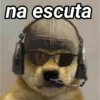 ANIMAIS E REAÇÕES 14