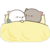 Gatinhos apaixonados 13