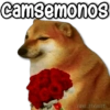 MEMES Enjoy 1.0 🫂🎁 16