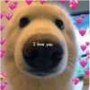 I love you