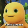 Kyutt 13