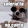 MEMES DAORA II 15