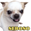 SEBOSO
