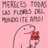 MERECES TODAS
LAS FLORES DEL
MUNDO İTE AMO!
000