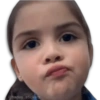 @harley stickers