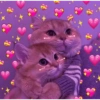 REAÇÕES 🥰 13