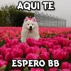AQUI TE
ESPERO BB
@Giseelove_Stickers