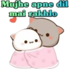 Mujhe apne dil
mai rakhlo