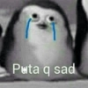 Puta q sad