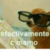 Peyitos Memes🐶🤩😎 11