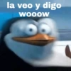 Randomcitos Para Tu Chat 🧬 9