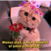 Gatitos que mejoran
tu mood
IG @guf_gufy
Wenos dias, ya se despertó
el amor d mi bida¿?