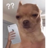 ??
الله
