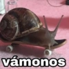 @Harley Stickers
vámonos