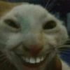 NOVOS MEMES!!! 10