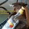 facebook.com/hmsuave
me amava porra
nenhuma